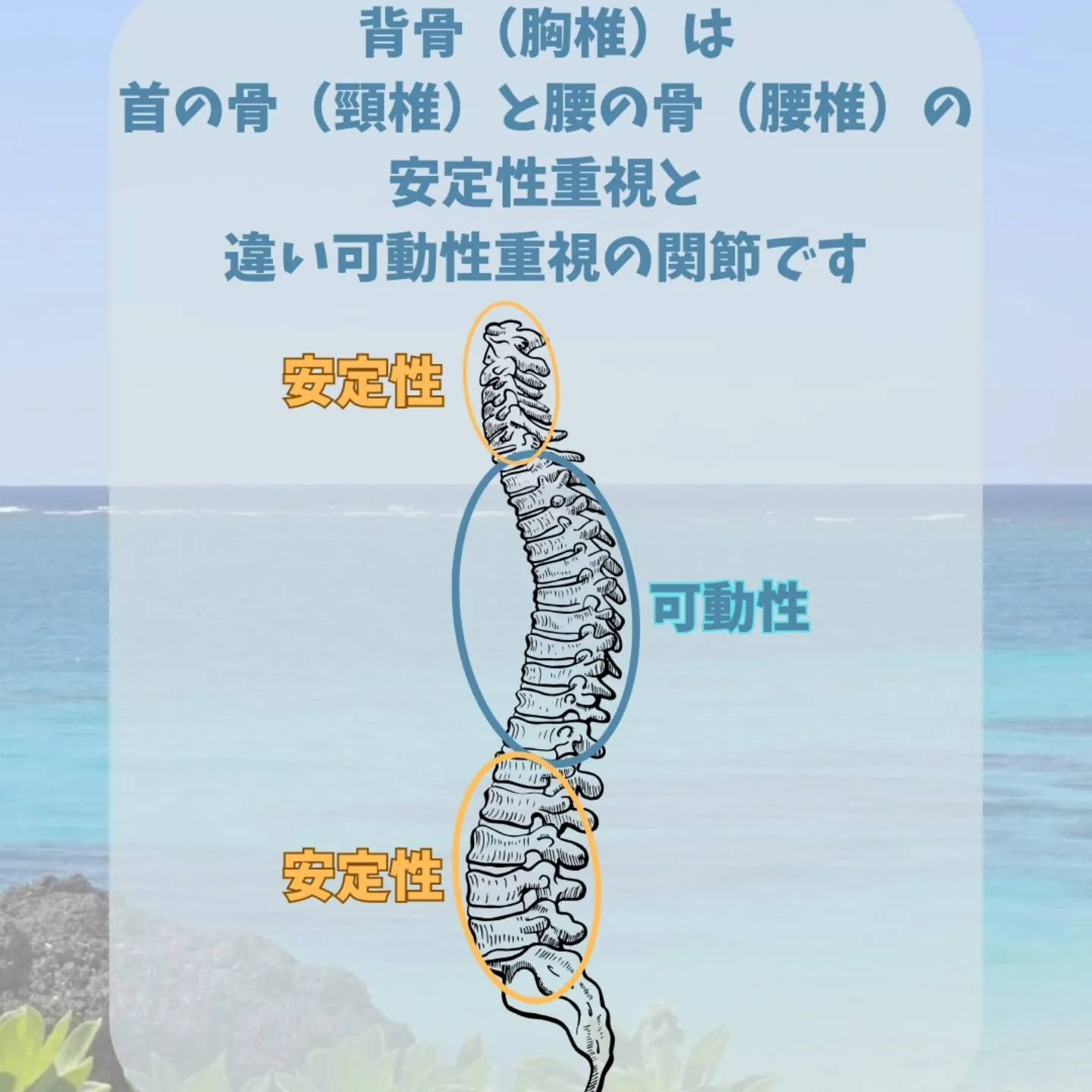 整体と解剖学で埼玉県さいたま市中央区の身体悩みを根本改善する選び方